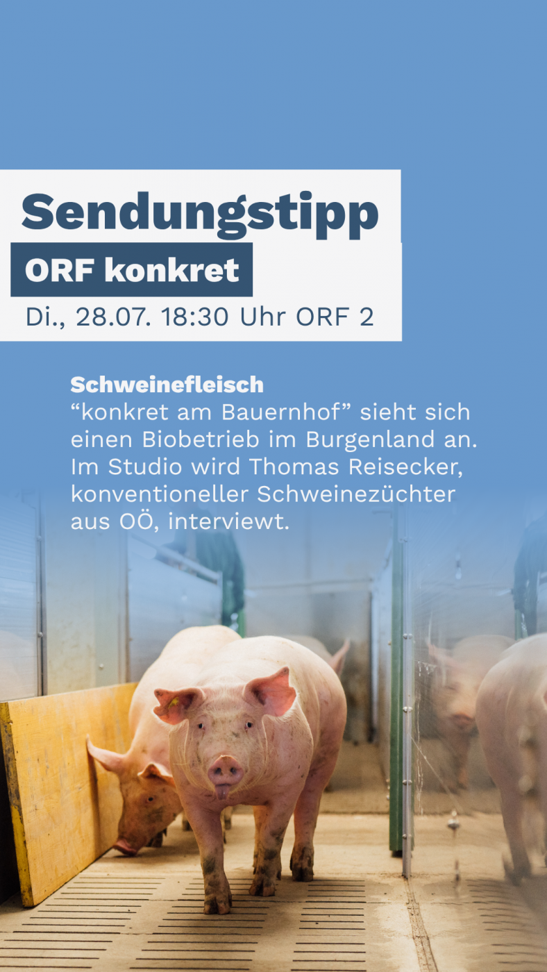 v1_BONUS Sendungstipp ORF KOnkret SChweinemarkt (1)