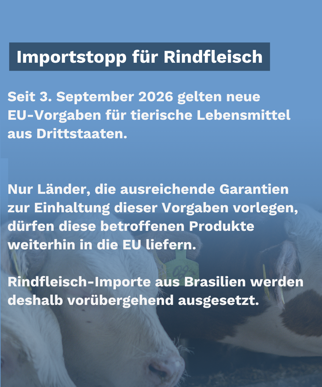 Erklärung des EU-Importstopps für neue Rindfleischlieferungen aus Brasilien seit 3. September 2026