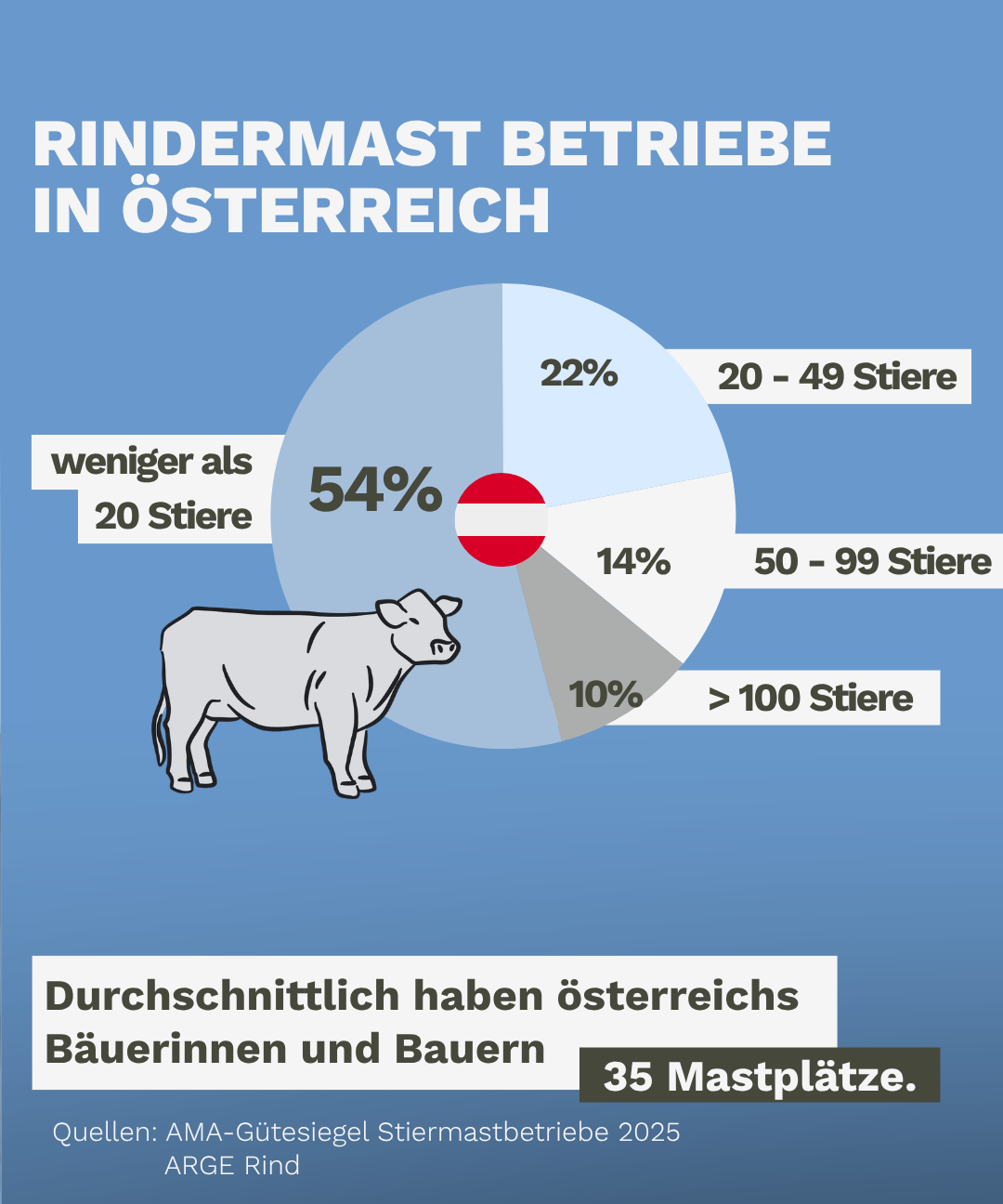 Größenstruktur österreichischer Rindermastbetriebe nach Anzahl der Mastplätze